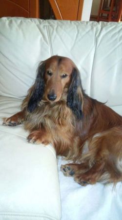 Dzie� dobry, w czy  mog� pom�c.